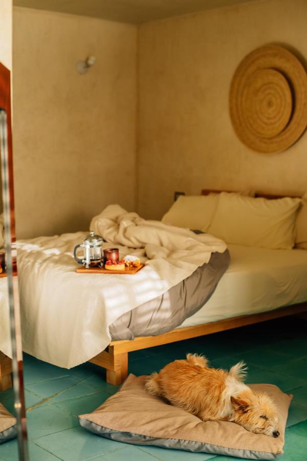 Boulenc Bed And Bread Hotell Oaxaca Eksteriør bilde